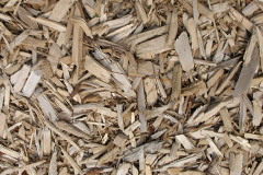 biomass boilers Murdishaw